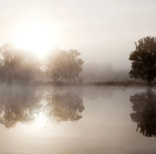 Embracing Silence